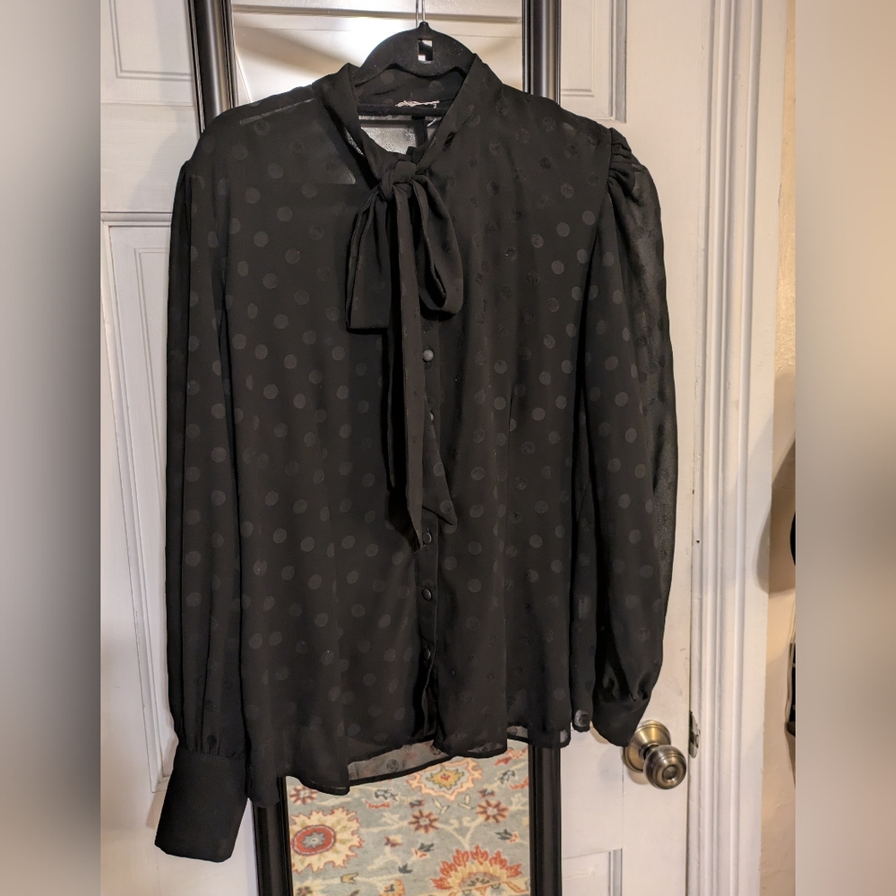 Unique Vintage 1X black sheer blouse
